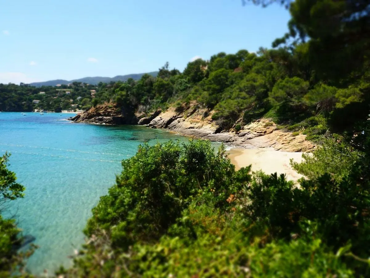 La Londe La Mer : Appartement Proche Plages & Vue Superbe Sur Les Iles D'Or Frankreich